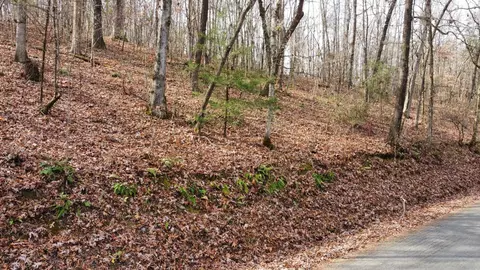 0 Wooten Rd, Delano, TN 37325