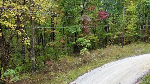 17 Log Rd, Spring City, TN 37381 photo 5
