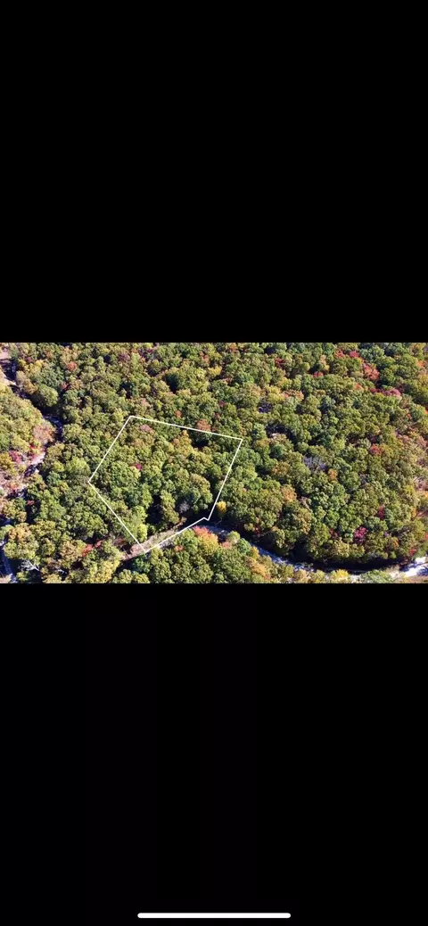 17 Log Rd, Spring City, TN 37381 photo 9