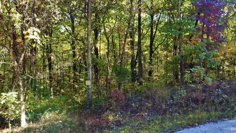 17 Log Rd, Spring City, TN 37381 photo 2