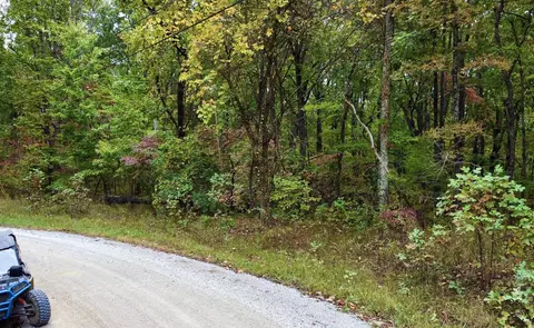 17 Log Rd, Spring City, TN 37381 photo 6