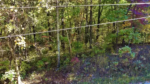 17 Log Rd, Spring City, TN 37381 photo 10