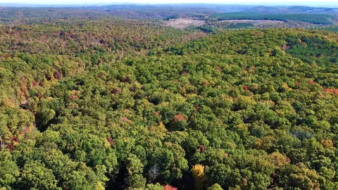 17 Log Rd, Spring City, TN 37381