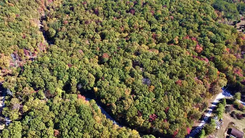 17 Log Rd, Spring City, TN 37381 photo 4