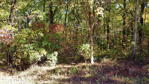 17 Log Rd, Spring City, TN 37381 photo 12