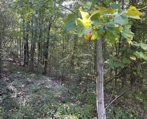 197 Cherokee Winds Dr, Tellico Plains, TN 37385