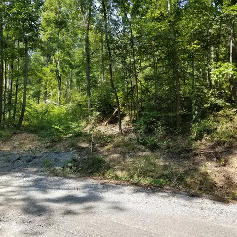 630 County Road 224, Niota, TN 37826