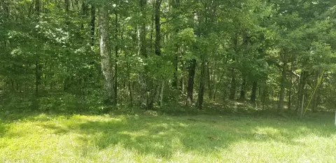 0 Lou Rd, Pikeville, TN 37367