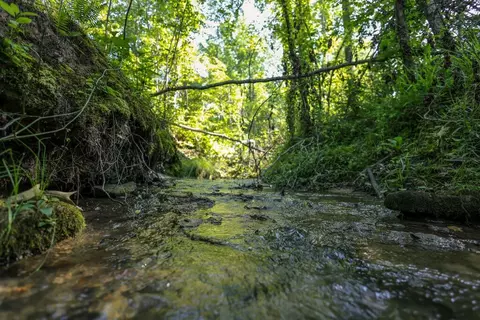 0 Big Rock Trl, Henderson, TN 38340