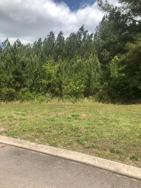 290 Mountain View Cir, Ocoee, TN 37361 photo 1