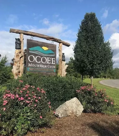 290 Mountain View Cir, Ocoee, TN 37361 photo 2