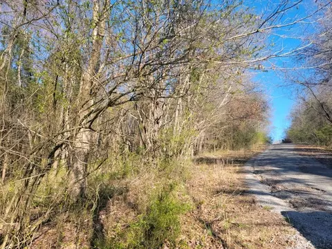 0 Moon Cir, Spring City, TN 37381