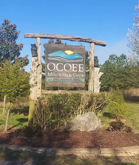 262 Mountain View Cir, Ocoee, TN 37361 photo 4