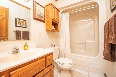 956 Lake Forest Dr, Spring City, TN 37381 photo 39