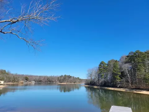 956 Lake Forest Dr, Spring City, TN 37381 photo 3