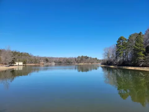 956 Lake Forest Dr, Spring City, TN 37381 photo 5