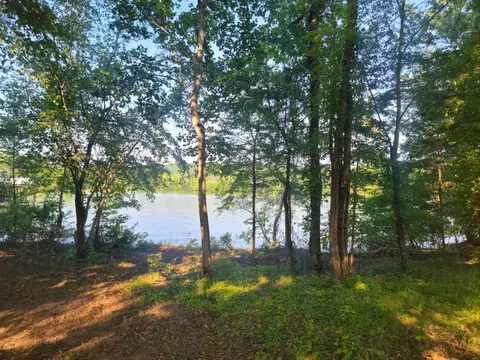 193 Piney Bay Ln, Spring City, TN 37381