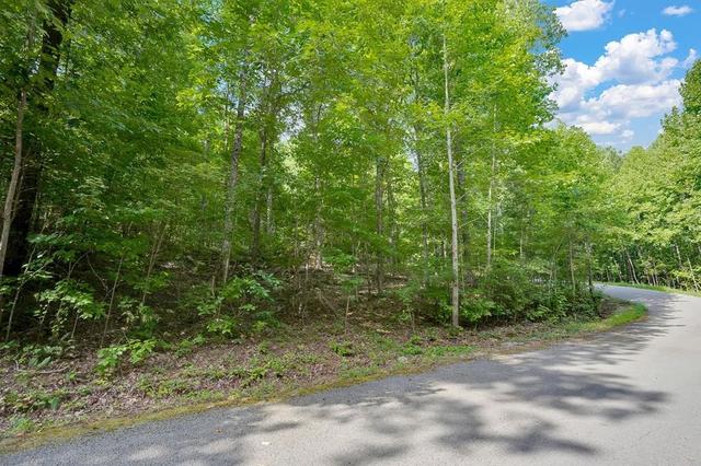 0 Scenic Dr, South Pittsburg, TN 37380