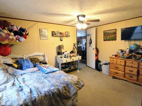163 Human Dr, Lancing, TN 37770 photo 6