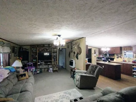 163 Human Dr, Lancing, TN 37770 photo 4