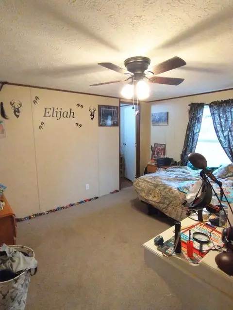163 Human Dr, Lancing, TN 37770 photo 5