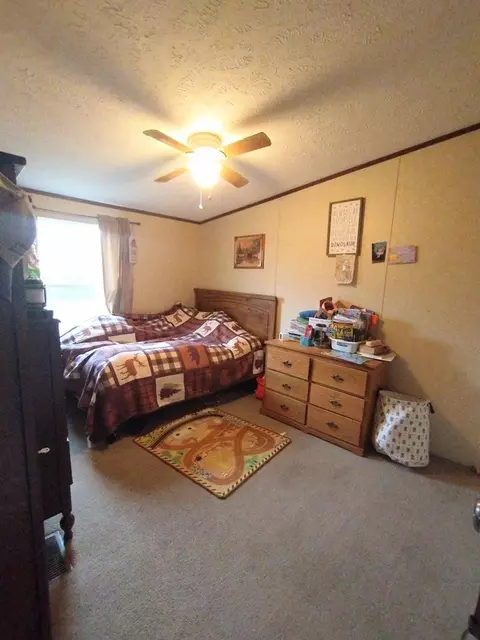 163 Human Dr, Lancing, TN 37770 photo 8