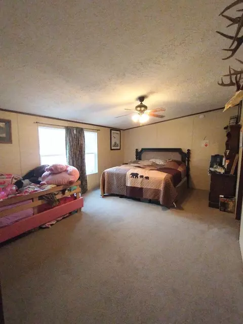 163 Human Dr, Lancing, TN 37770 photo 13