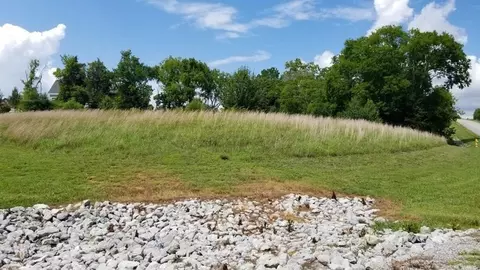 120 Roaming Fawn Dr, Rockwood, TN 37854