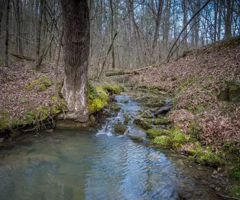 1484 Sloan Gap, Ocoee, TN 37361 photo 2