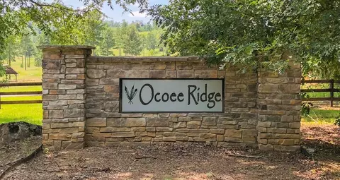 118 Bob White Rd, Ocoee, TN 37361 photo 27