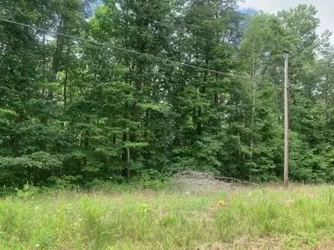 0 Deerhead Rd, Dunlap, TN 37327 photo 2