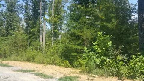 20 Meadow Lark Rd, Dunlap, TN 37327 photo 3