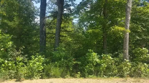 20 Meadow Lark Rd, Dunlap, TN 37327 photo 2