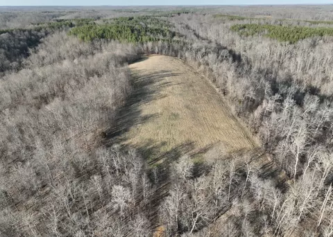 0 Upper Standing Rock Rd, Dover, TN 37058 photo 15