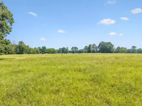 Exterior - 2362 Fall River Rd, Goodspring, TN 38460 photo 20 of 24