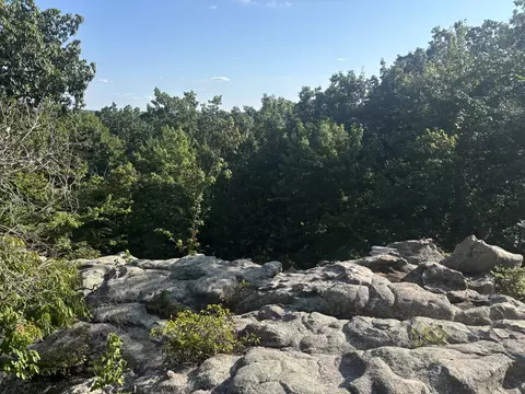 0 Holloway Ridge Rd, Spring City, TN 37381