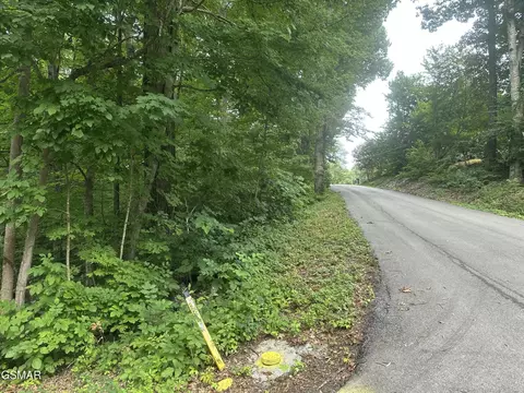 75 Highpoint Dr, Sevierville, TN 37876 photo 4