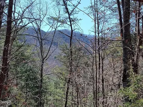 10 John Boy Trl, Sevierville, TN 37862
