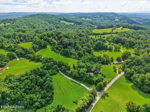 579565 Harless Rd, Corryton, TN 37721 photo 9