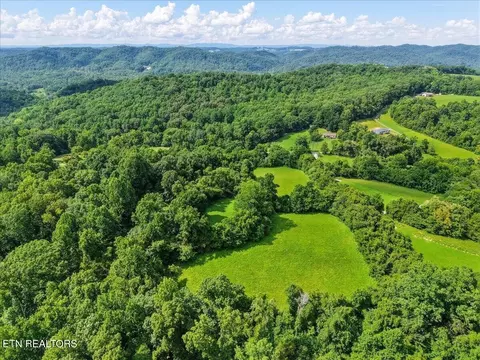 579565 Harless Rd, Corryton, TN 37721 photo 8