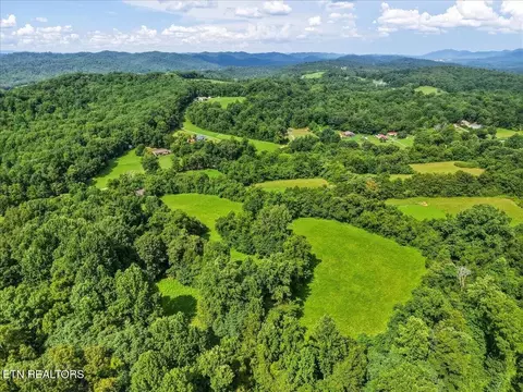 579565 Harless Rd, Corryton, TN 37721 photo 10