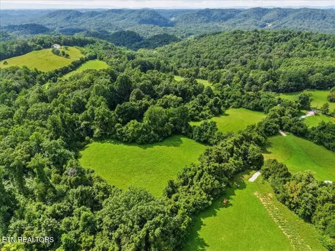 579565 Harless Rd, Corryton, TN 37721 photo 4