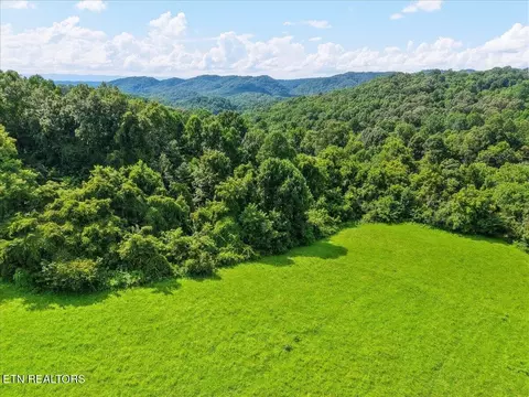 579565 Harless Rd, Corryton, TN 37721 photo 2