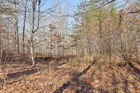 337 Bluff View Dr, Dunlap, TN 37327 photo 8