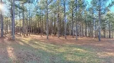 2364 Three Gorges Rd, Soddy Daisy, TN 37379