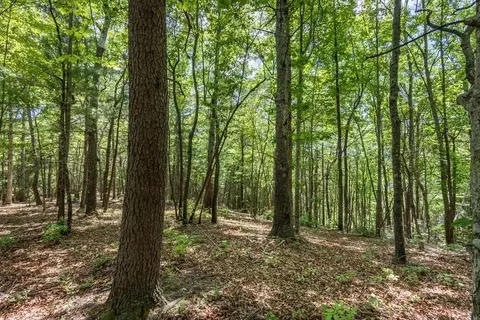 43 Donley Rd, Murphy, NC 28906 photo 13