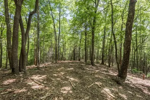 43 Donley Rd, Murphy, NC 28906 photo 4