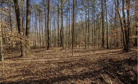 42 Quarles Rd, Rocky Face, GA 30740
