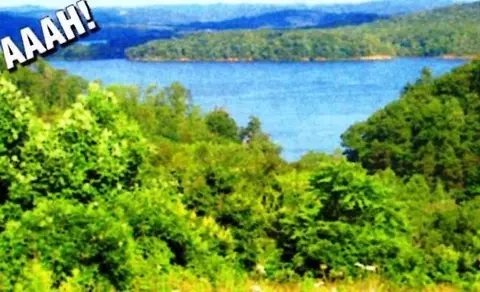 406 Flint Ridge Rd, Harriman, TN 37748