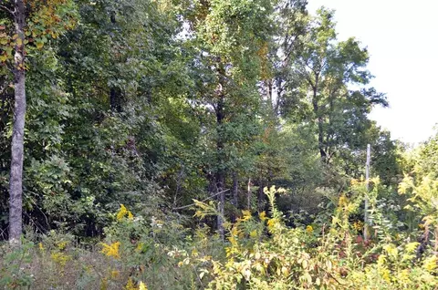 16 Overlook Trl, Spring City, TN 37381